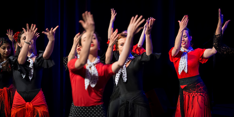 Liz Dans Flamenco