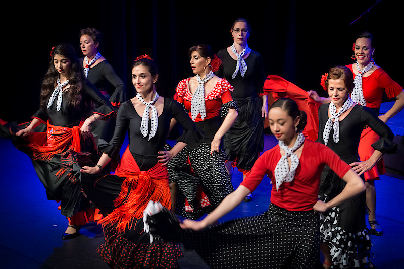 Liz Dans Flamenco