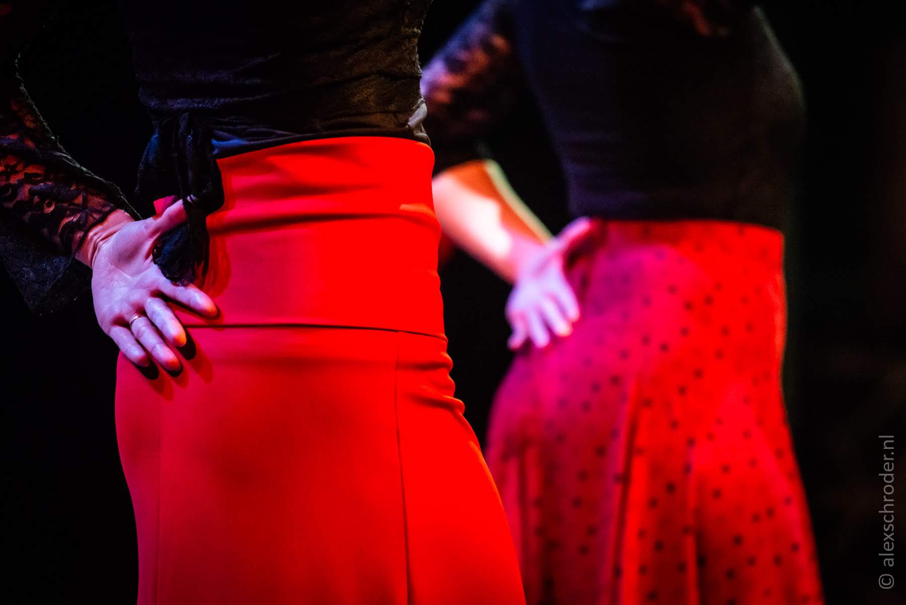 DSC_0226