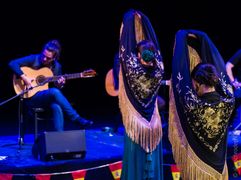 Liz Dans Flamenco - Vamos a La Haya