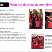Flamenco-kinderen-rooster