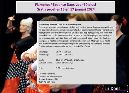 Flamenco-senioren-scheveningen