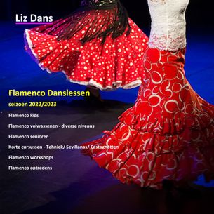 Flamenco lessen 2022