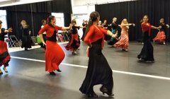 Rumbas Lizdans Flamenco